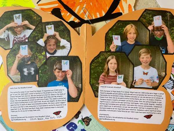 classroom ambassador monarchs