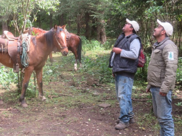 Forest Guardians at Cerro Pelon