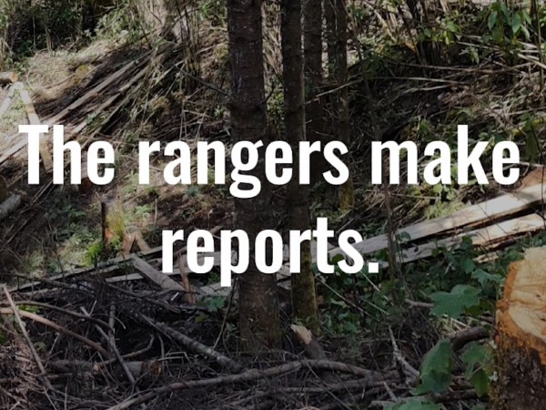 Video from Cerro Pelon