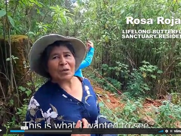 Adopt a Colony video screenshot