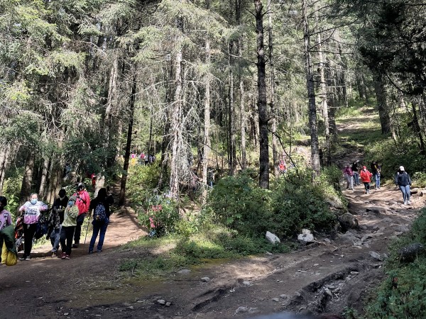 Visitors at El Rosario.