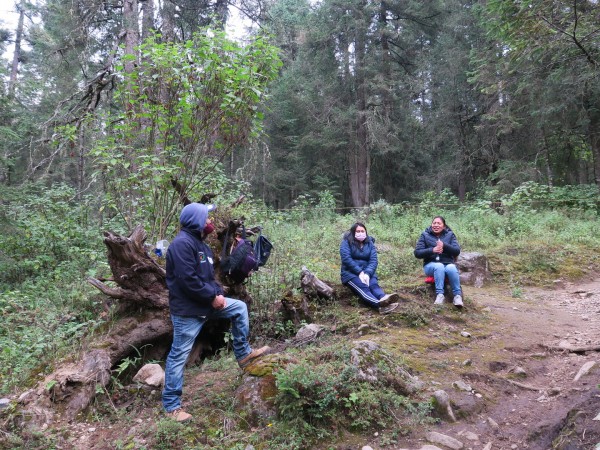 Hiking in a monarch sactuary