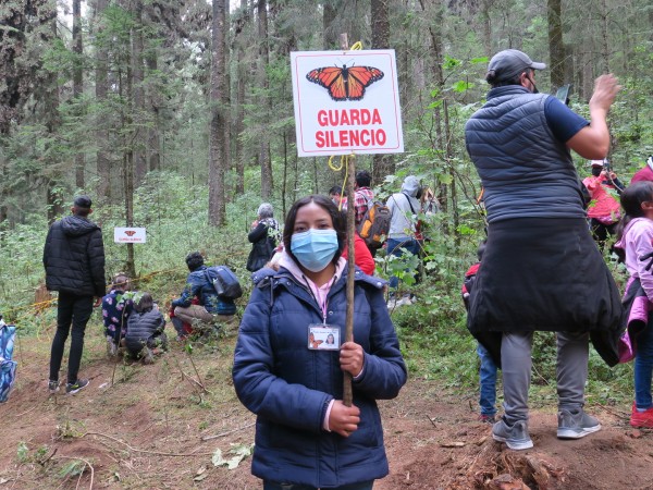 Staying Quiet to Not Disturb Monarchs