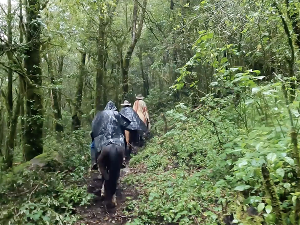 Cerro Pelon Forest Guardians