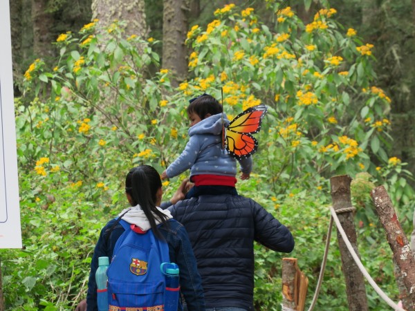 Visitors at monarch sanctuaries