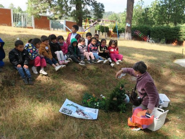 Ms. Romero teaches students about monarchs in Mexico