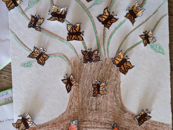 Ambassador created by student in Mexico