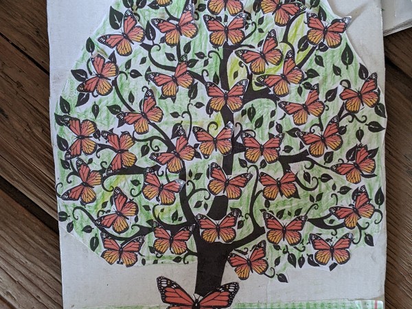 Ambassador created by student in Mexico