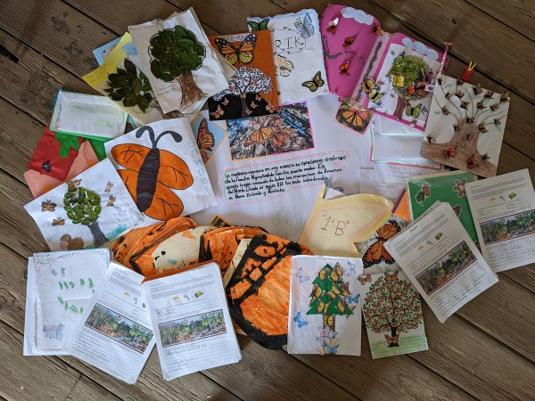 Letters and Monarch Ambassadors from students in Mexico