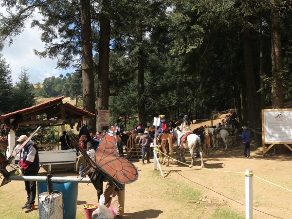 Visitors at El Rosario Sanctuary