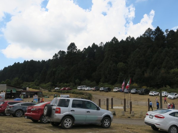 Sierra Chincua Sanctuary