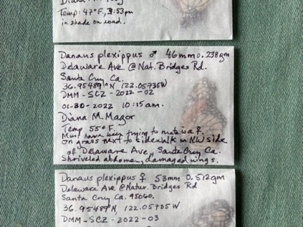 Deceased Monarchs for Genome Study