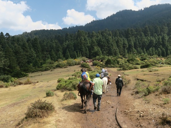 Visitors on the way to see monarchs at sanctuaries in Mexico