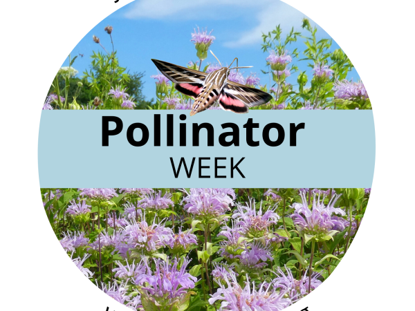 Pollinator Week logo