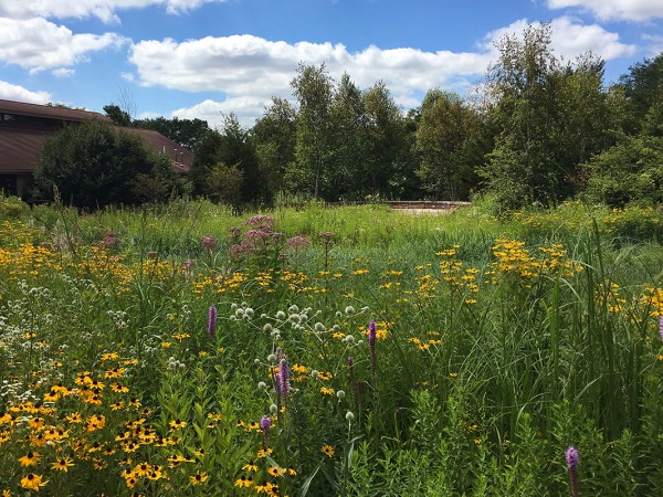 Arboretum Native Plant Garden