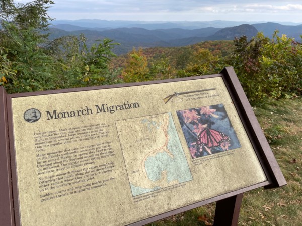 Overlook on Blue Ridge Parkway