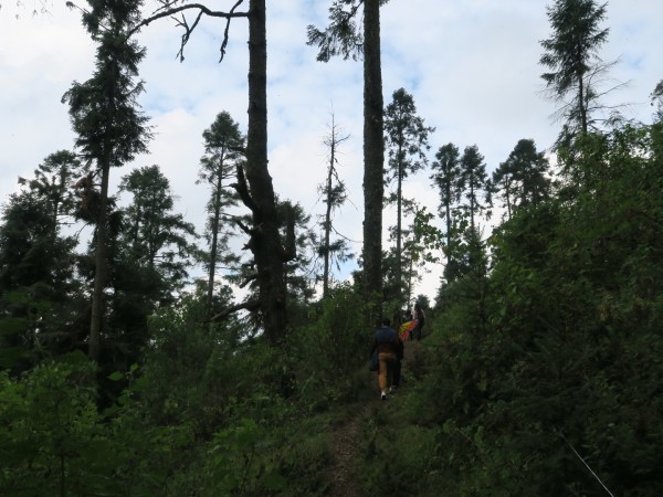Visitors hiking to see monarchs in Mexico
