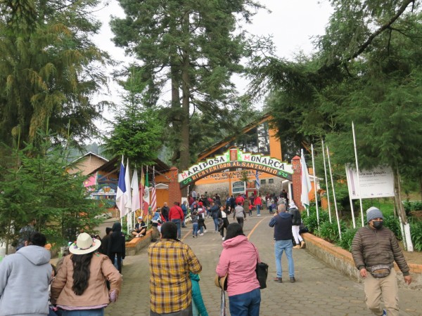 Visitors at El Rosario Sanctuary