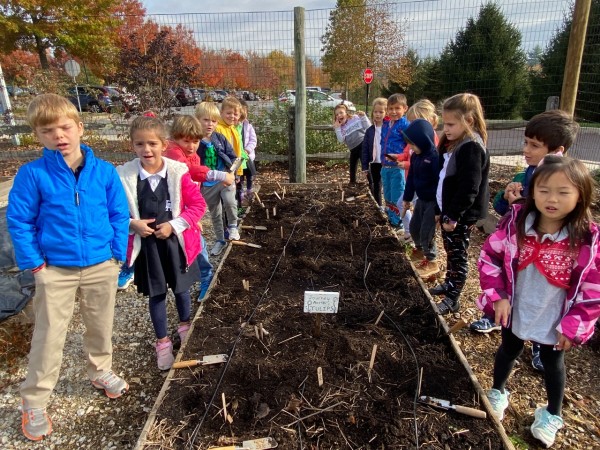 Tulip Test Garden in Pennsylvania 