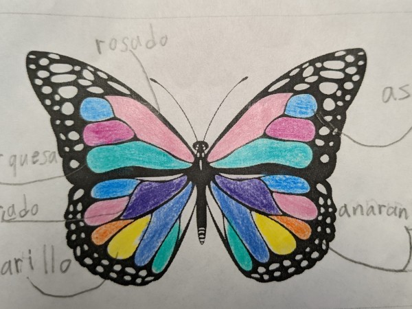 Symbolic Migration Ambassador Butterfly