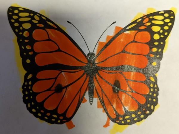 Symbolic Migration Ambassador Butterfly