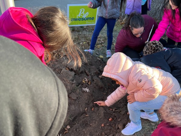 children planting tulip bulbs in MN