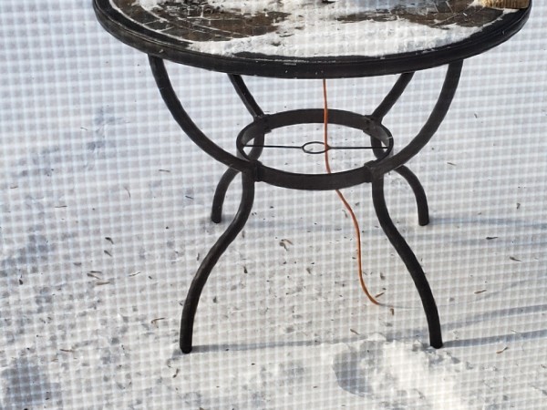 American Robin at heated birdbath