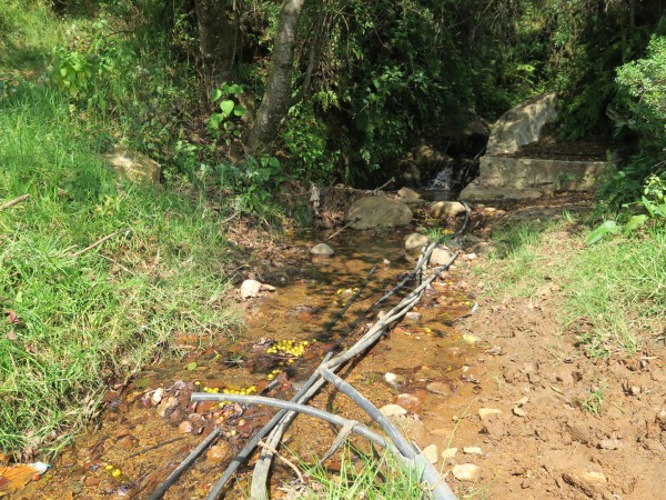 Drinking Water Delivered By Pipes