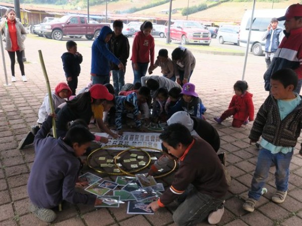 environmental lessons 