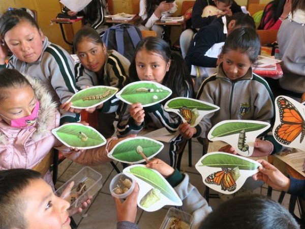 environmental lessons on monarch migration