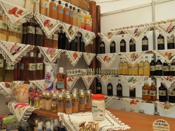 mushroom collection create a lively market in Mexico