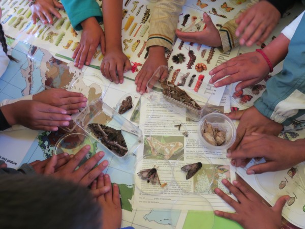 school children in Mexico pointing to moths