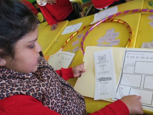 child engaging in a lesson about monarch life cycle