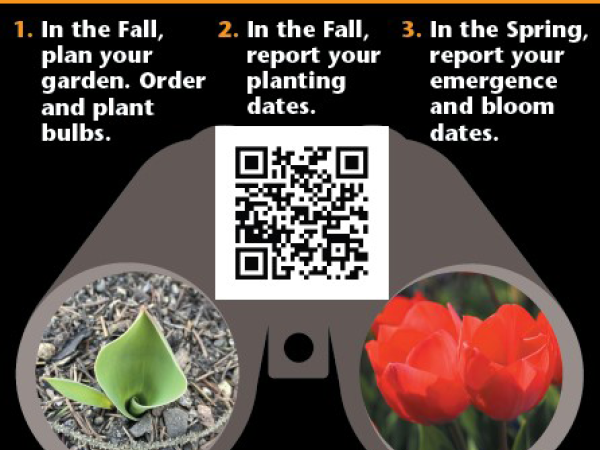 Tulip Test Garden Sign