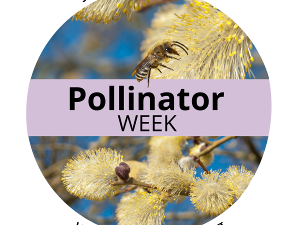 Pollinator Week 2023 logo