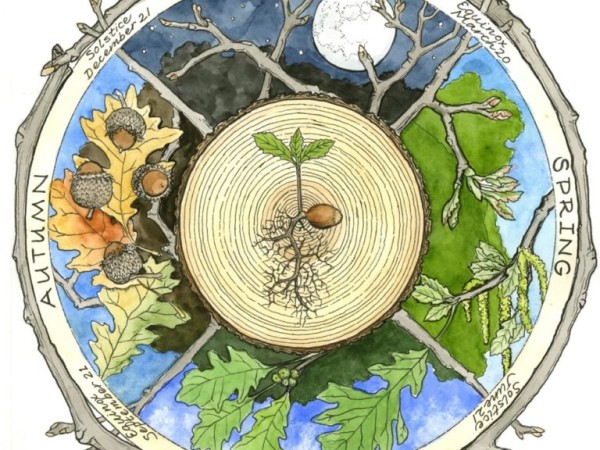 phenology wheel