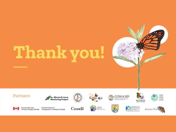2023 International Monarch Monitoring Blitz thank you