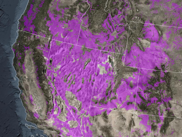 Map showing where the Bureau of Land Management manages land in the West.