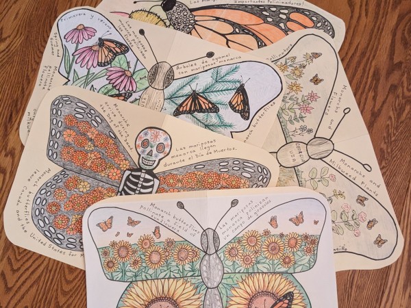 Ambassador butterflies