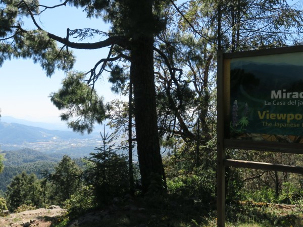 a view from the mountains in the monarch biosphere reserve