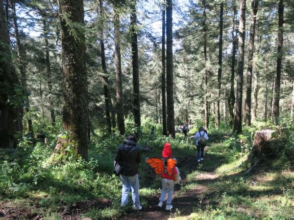 a young visitor at El Rosario Sanctuary