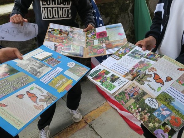 ambassador monarch butterfly