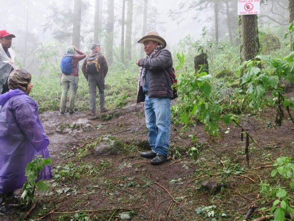 people hiking up mountain with heavy fog