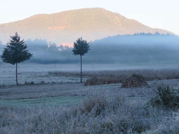frost across the plain