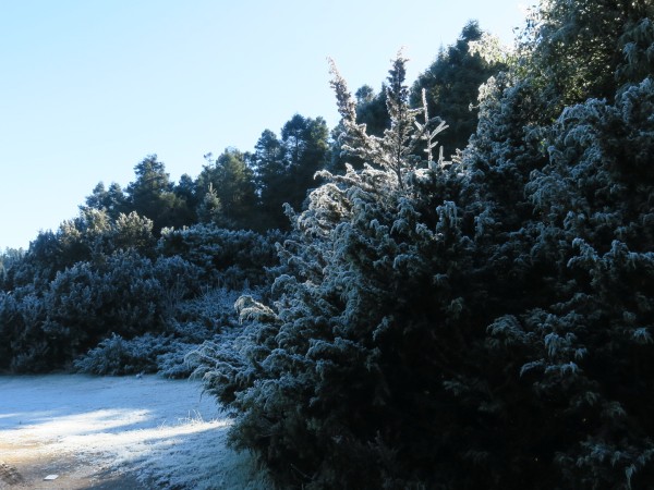 Sierra Chincua Sanctuary