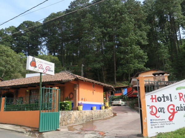 hotel wall with a monarch