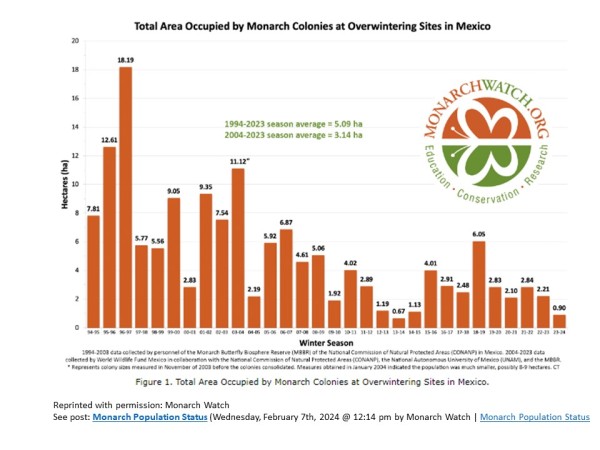 monarch butterfly pop decline