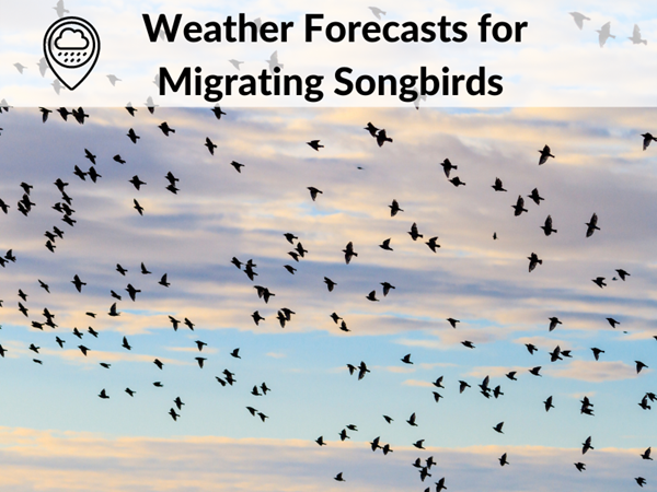 weather reports from D Aborn