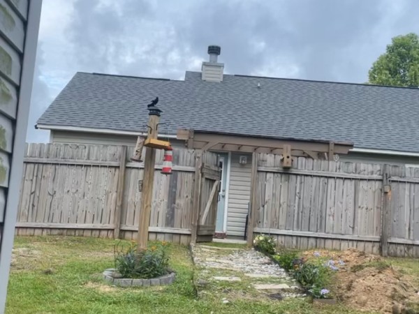 Red-winged blackbird at a feeder in a backyard with fence and another house in the distance