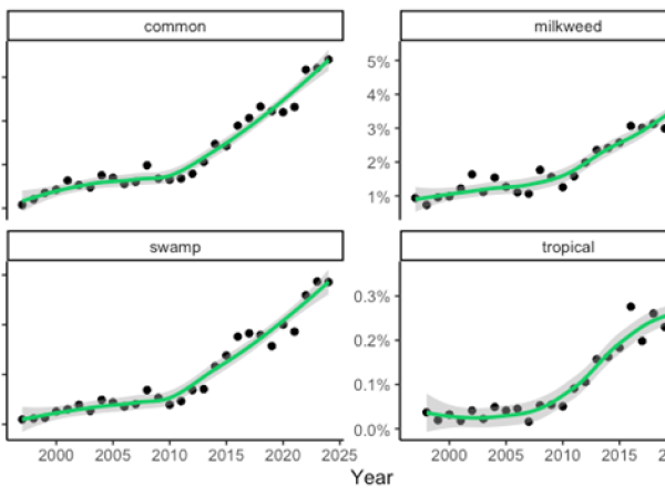 a graph showing the frequency with which the words "common," milkweed," "swamp," and "tropical" appeared in Journey North comments from 1996-2024.